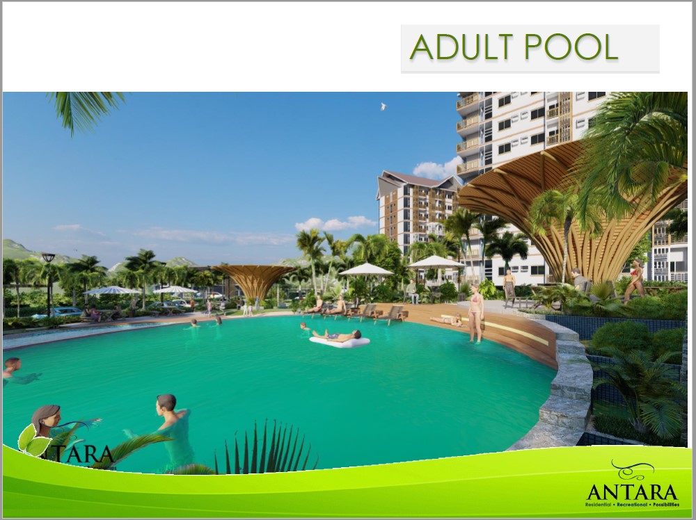 amenity_adult pool