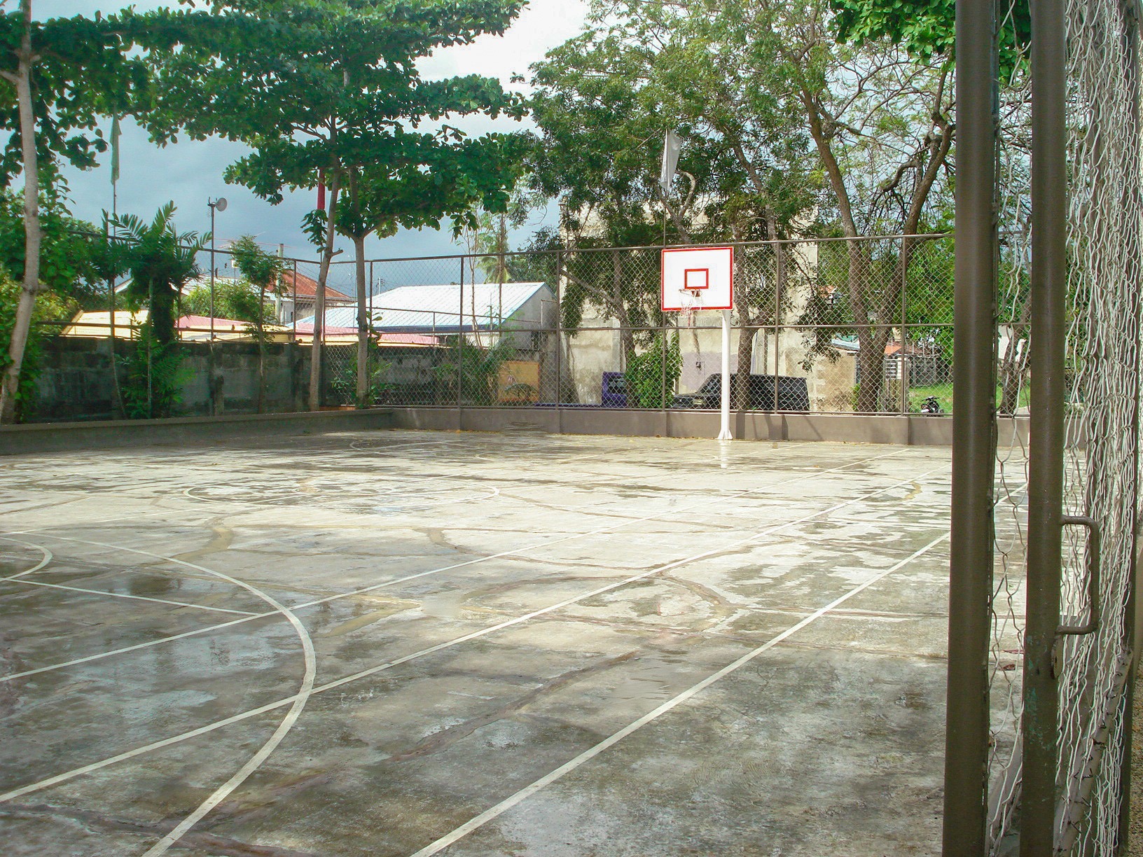 basketball (1)