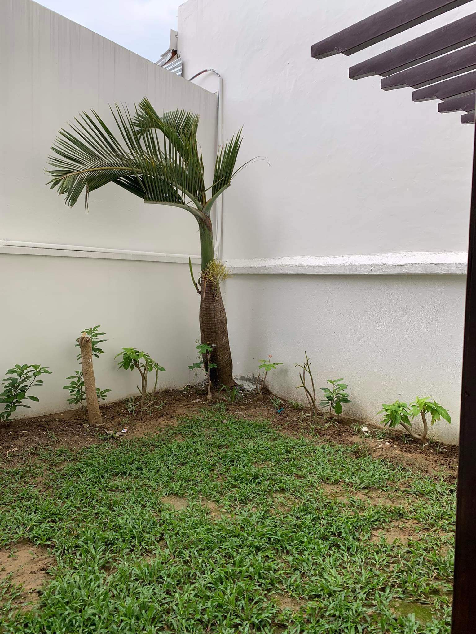 3 STOREY HOUSE,6 SUITE ROOM WITH INDIVIDUAL BATH TUB IN EACH UNIT FOR SALE