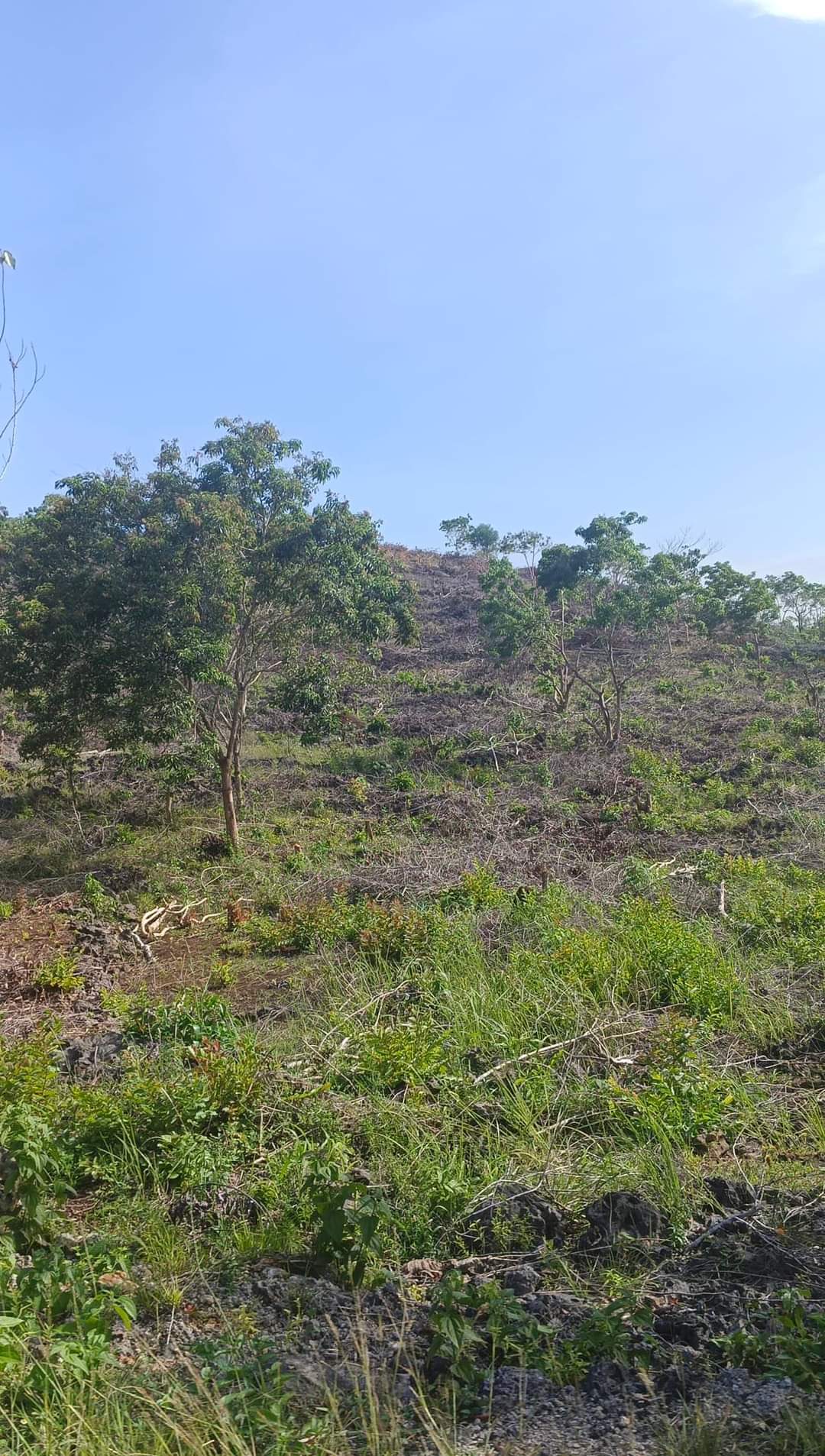 ALEXA HEIGHTS BUNGTOD