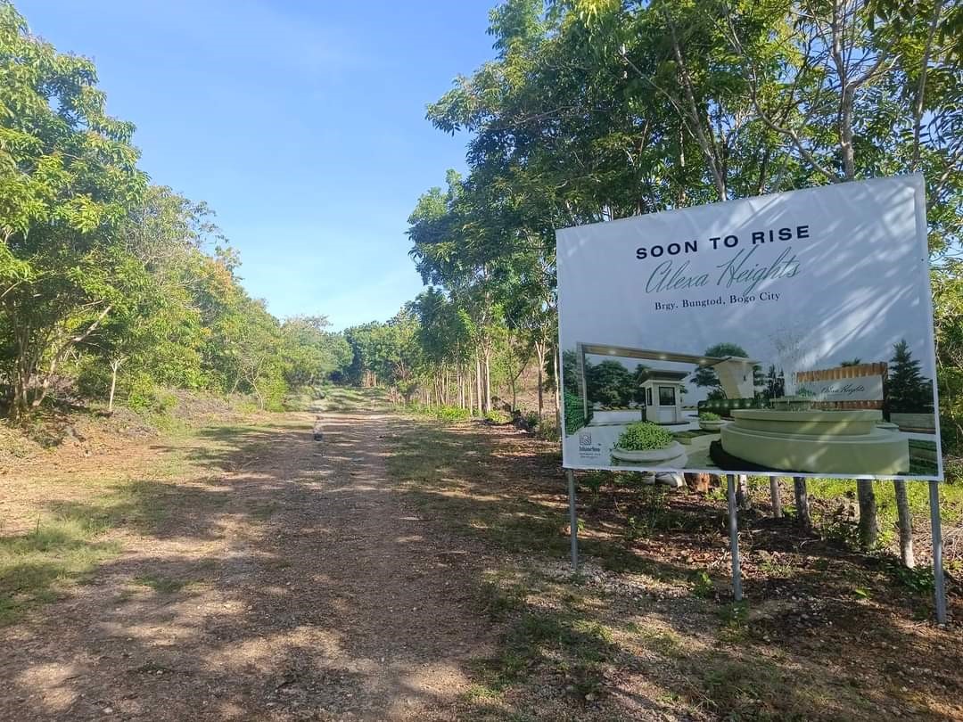 ALEXA HEIGHTS BUNGTOD