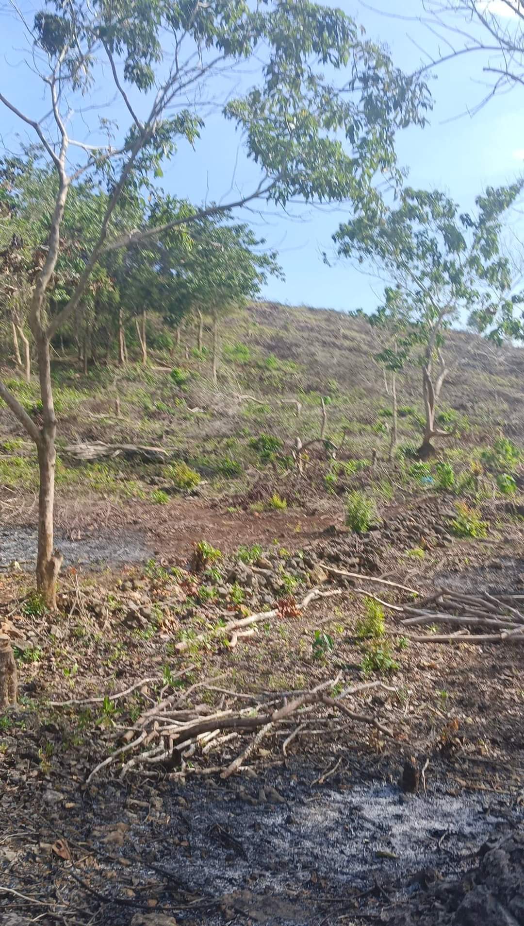 ALEXA HEIGHTS BUNGTOD