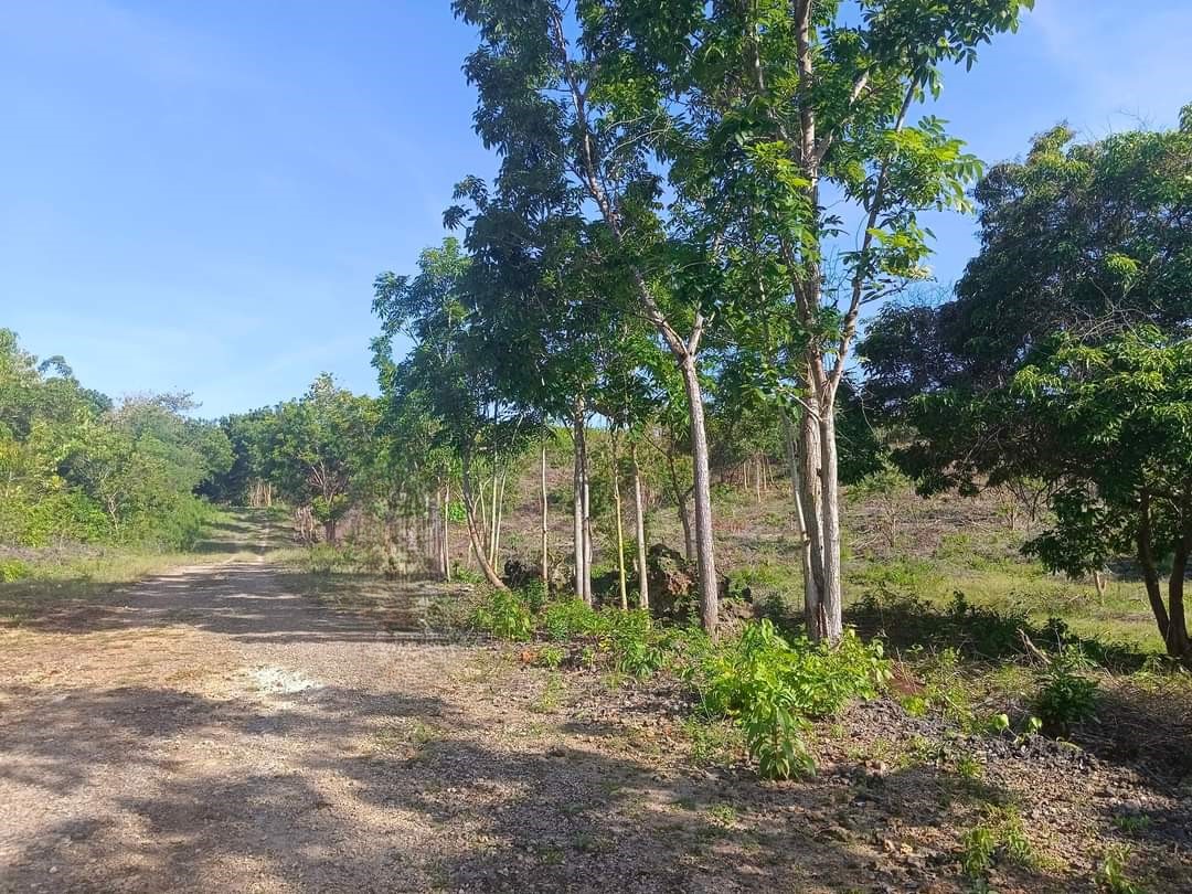 ALEXA HEIGHTS BUNGTOD