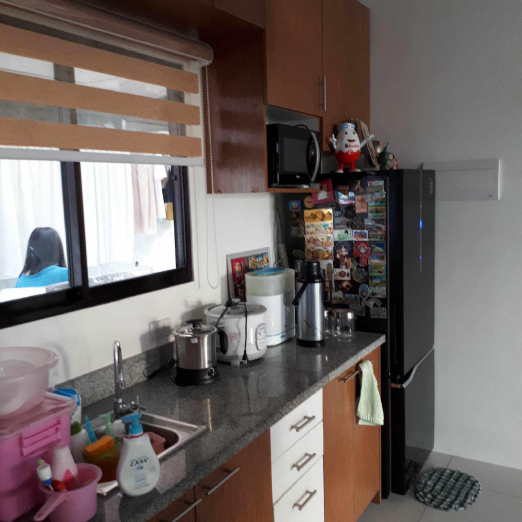 FURNISHED SINGLE DETACHED HOUSE IN SERENIS FOR SALE