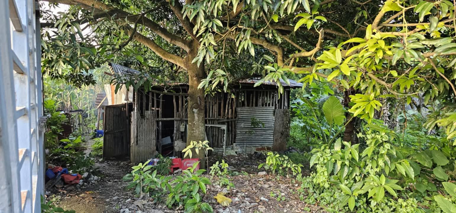 LOT ONLY FOR RENT IN DANAO