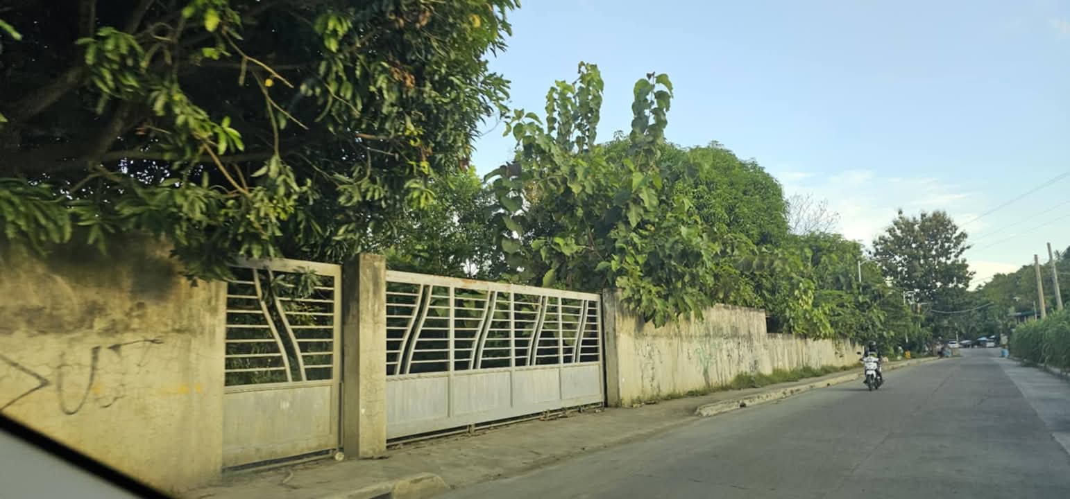 LOT ONLY FOR RENT IN DANAO