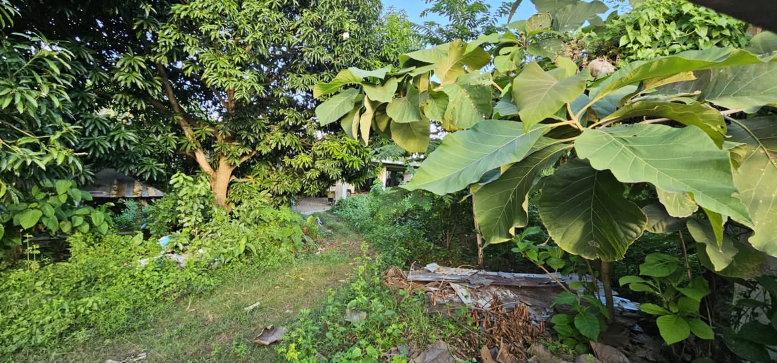 LOT ONLY FOR RENT IN DANAO