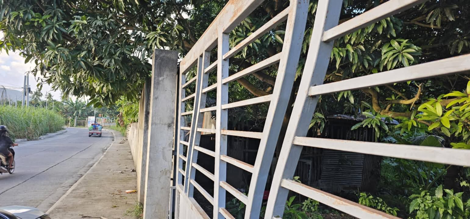 LOT ONLY FOR RENT IN DANAO