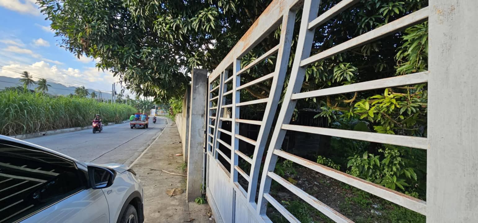 LOT ONLY FOR RENT IN DANAO