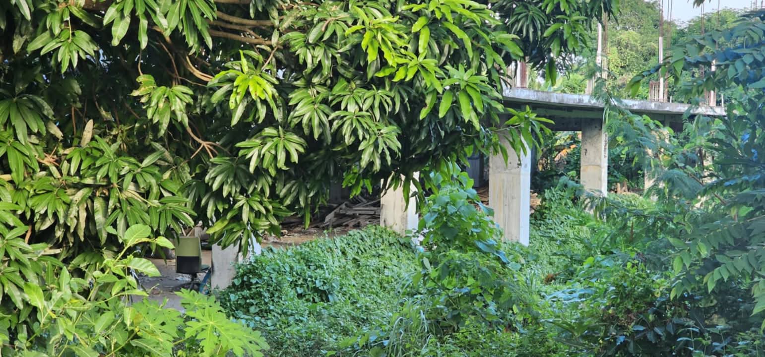 LOT ONLY FOR RENT IN DANAO