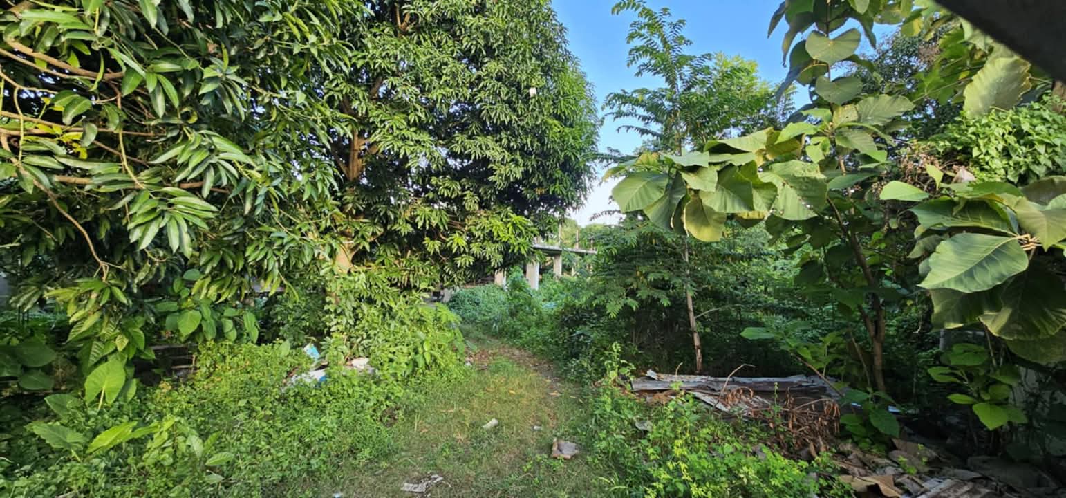 LOT ONLY FOR RENT IN DANAO
