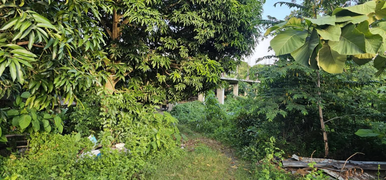 LOT ONLY FOR RENT IN DANAO