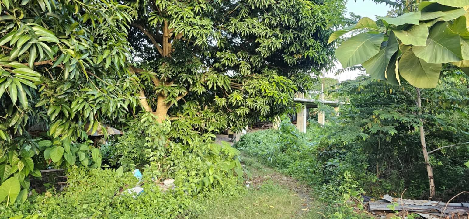 LOT ONLY FOR RENT IN DANAO