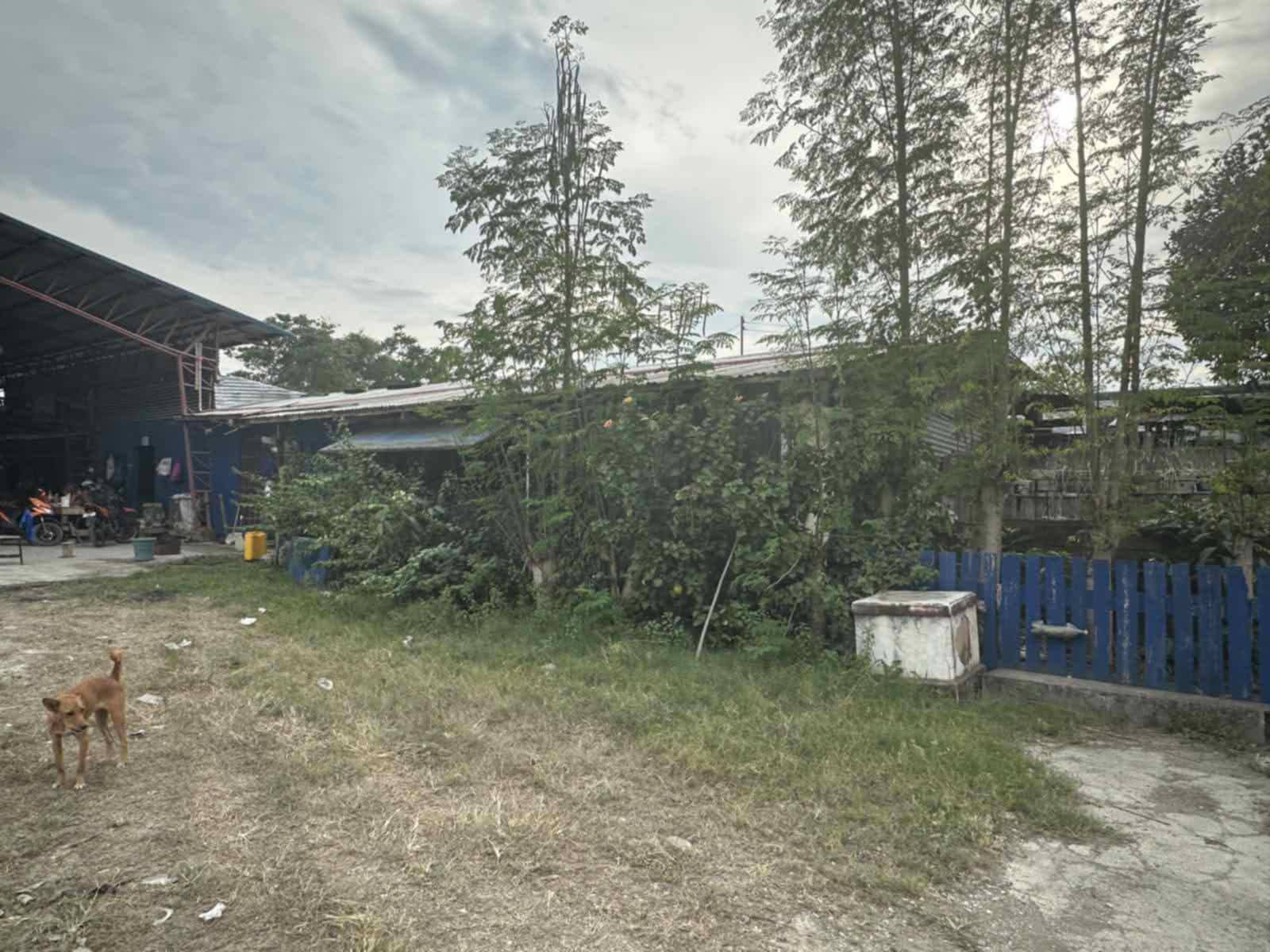 FOR RENT‼️Industrial Lot with Covered Structure/Warehouse for Lease in Biasong, Talisay near SRP