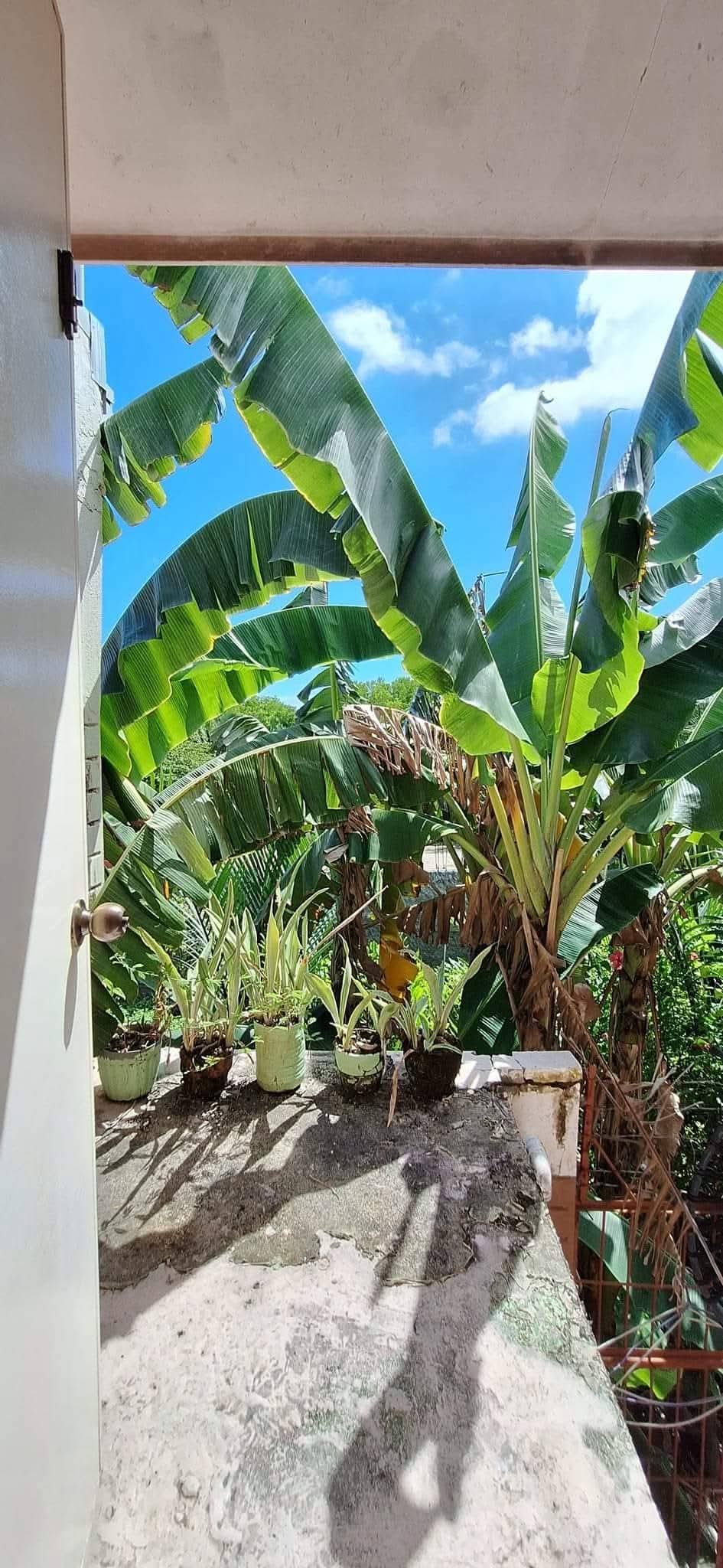 TWO STOREY DUPLEX FOR RENT 60SQM