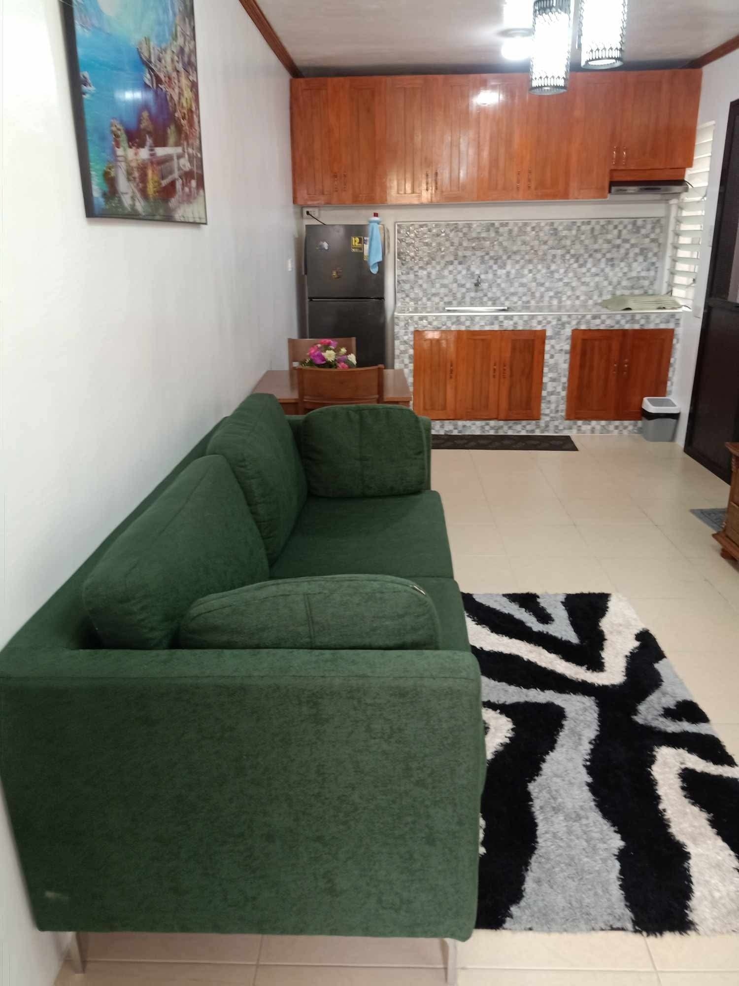 FULLY FURNISHED HOUSE FOR RENT