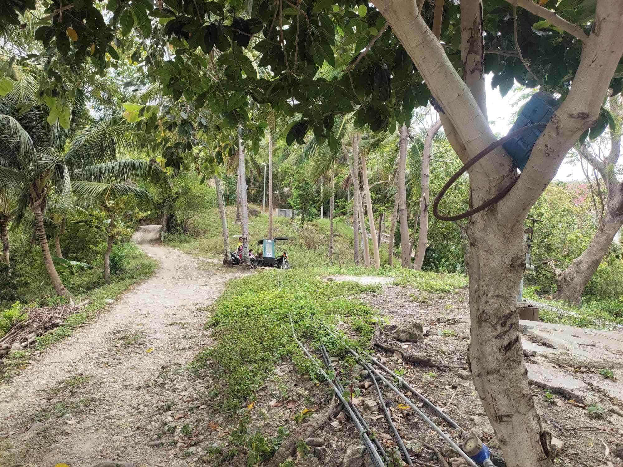RARE INVESTMENT OPPORTUNITY IN CALOMBOYAN BOLJOON, CEBU!