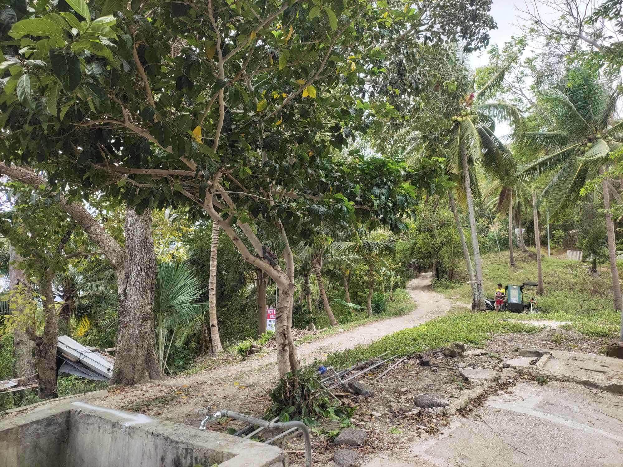 RARE INVESTMENT OPPORTUNITY IN CALOMBOYAN BOLJOON, CEBU!
