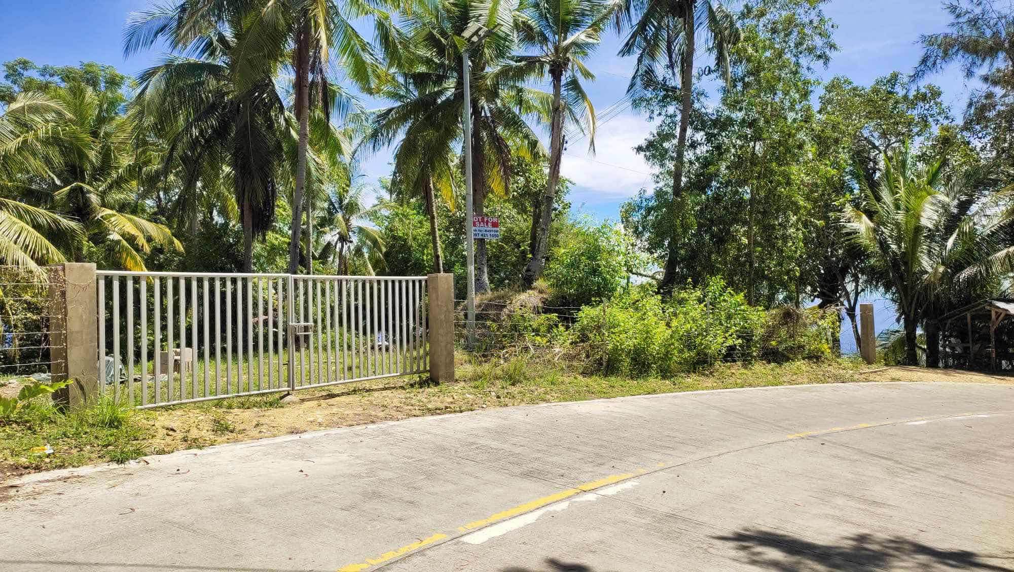 RARE INVESTMENT OPPORTUNITY IN CALOMBOYAN BOLJOON, CEBU!