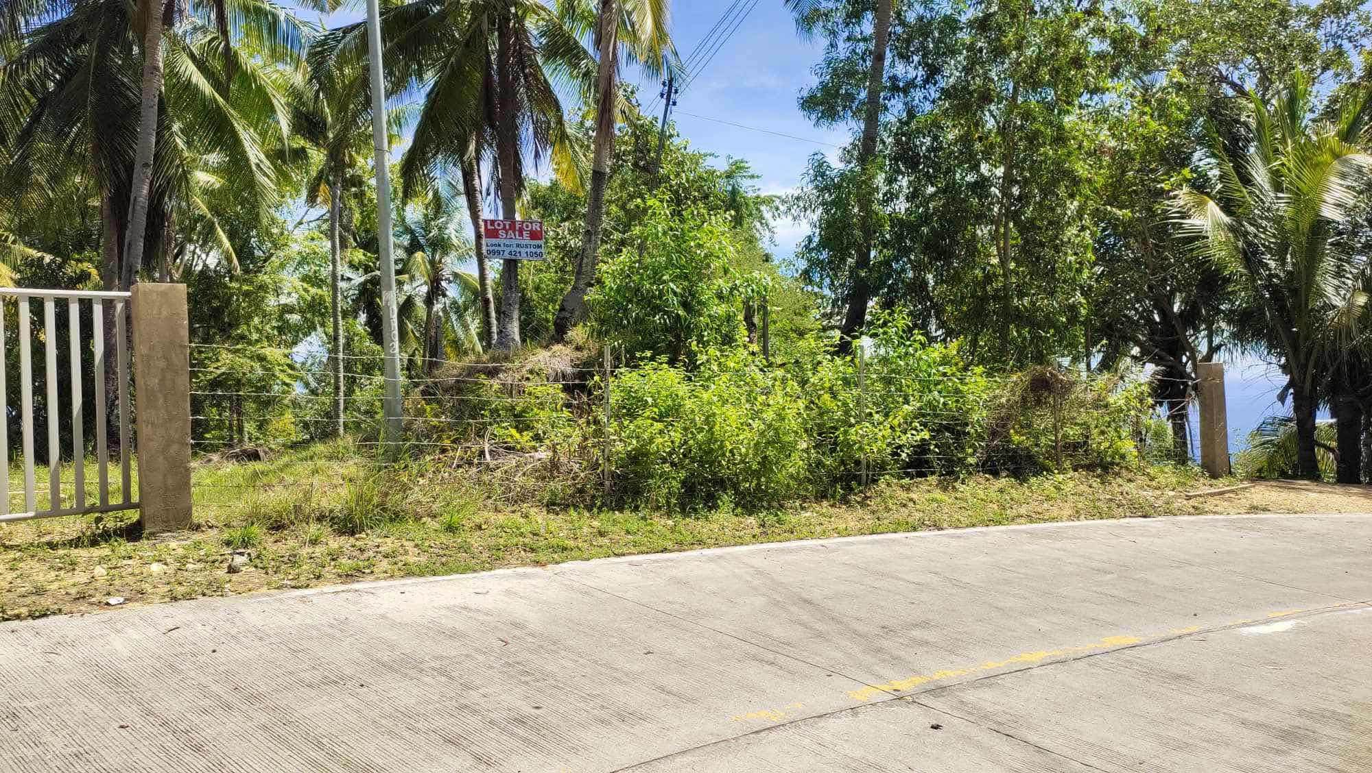 RARE INVESTMENT OPPORTUNITY IN CALOMBOYAN BOLJOON, CEBU!