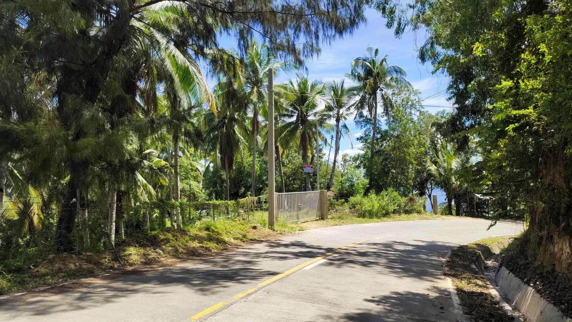RARE INVESTMENT OPPORTUNITY IN CALOMBOYAN BOLJOON, CEBU!