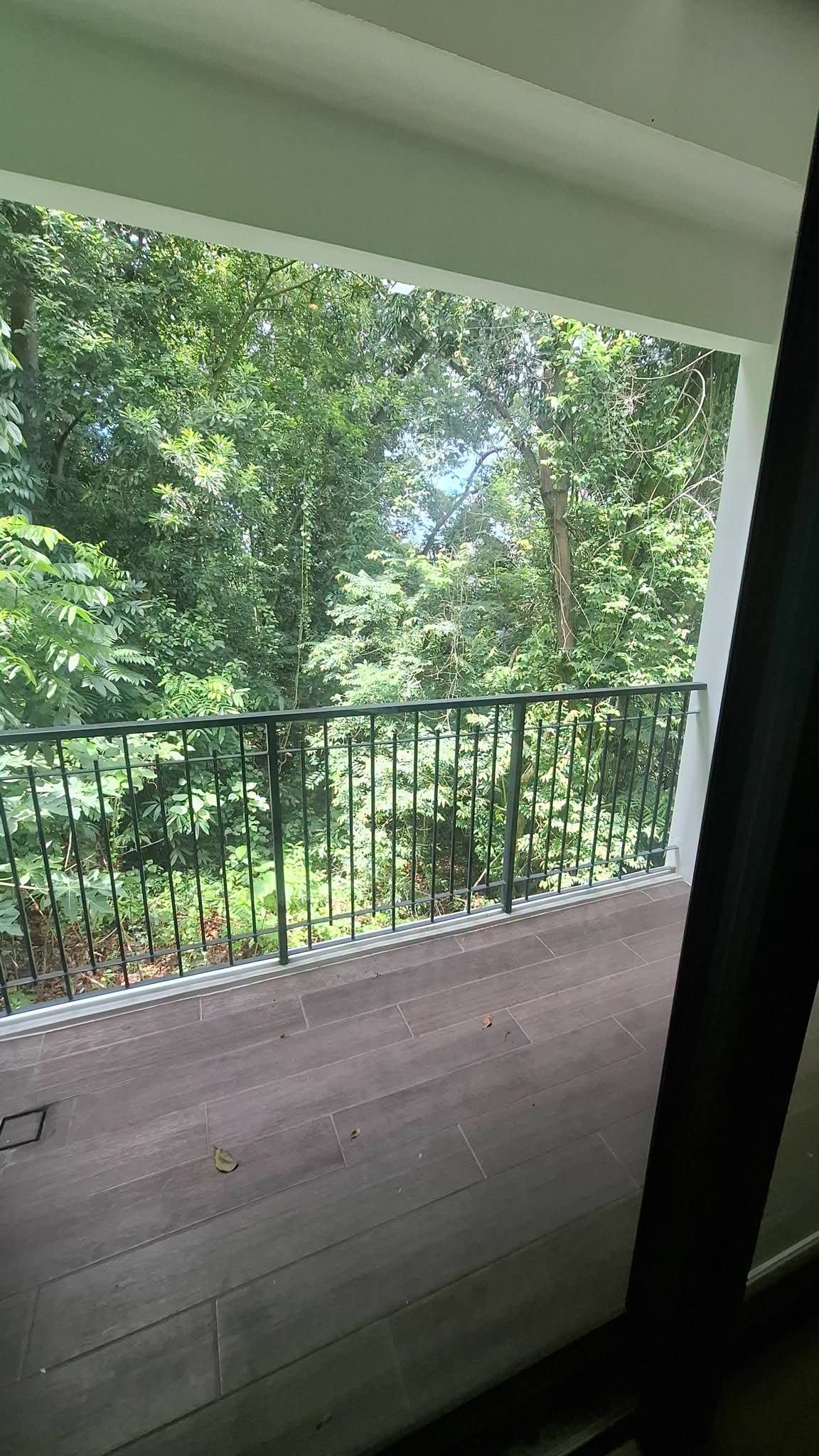 LUXURY HOUSE INSIDE MARIA LUISA FOR SALE